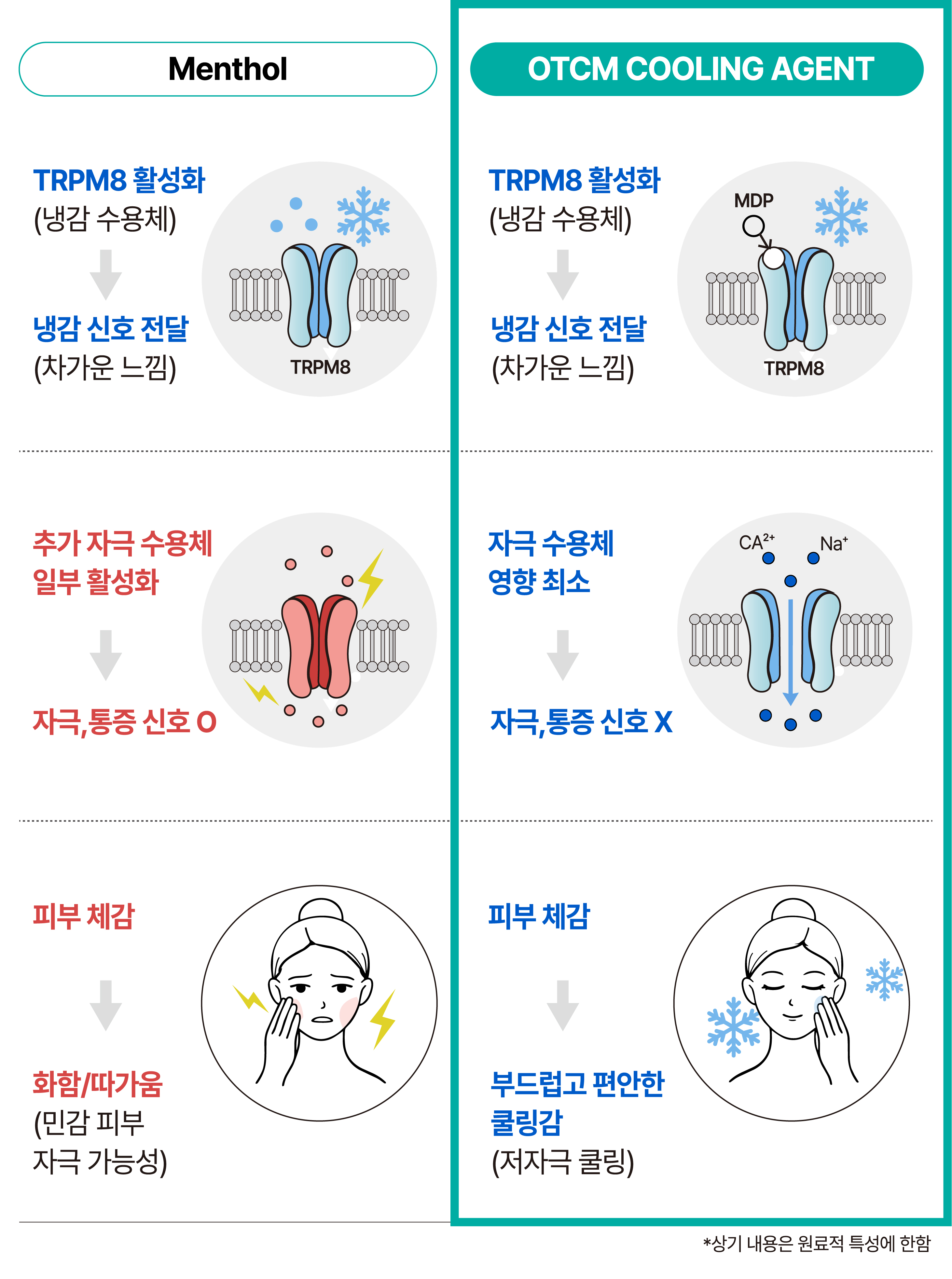 [2027 예측] 급성장하는 '이 시장'을 잡으세요